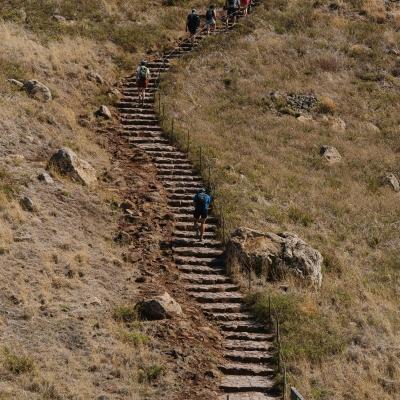 La relève après nous (The Relever)